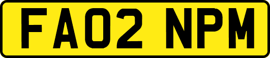 FA02NPM
