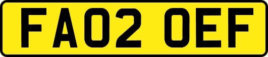 FA02OEF