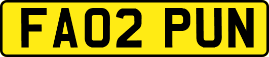 FA02PUN