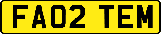 FA02TEM
