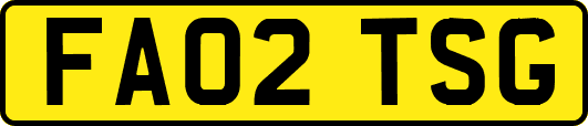 FA02TSG