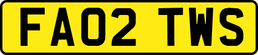 FA02TWS