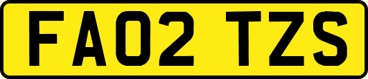 FA02TZS