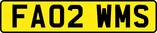 FA02WMS