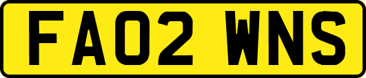 FA02WNS
