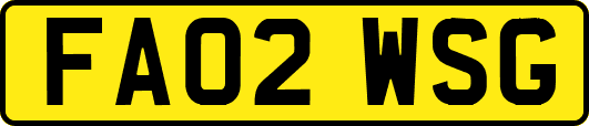 FA02WSG
