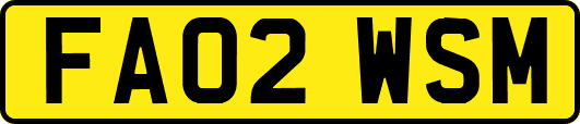 FA02WSM