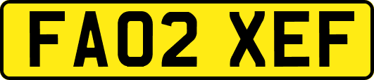 FA02XEF