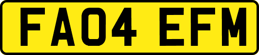 FA04EFM