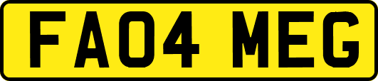 FA04MEG