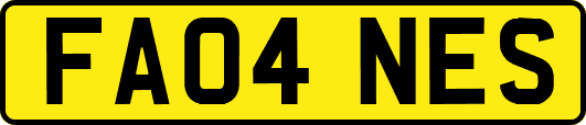 FA04NES