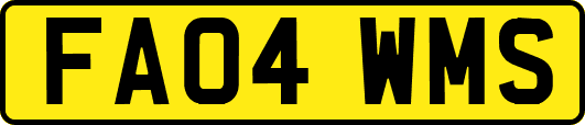 FA04WMS