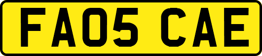 FA05CAE