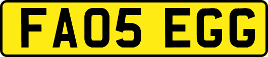 FA05EGG