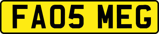 FA05MEG