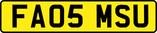 FA05MSU