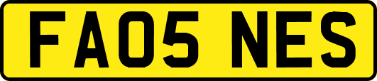 FA05NES