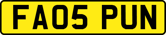 FA05PUN