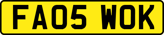 FA05WOK