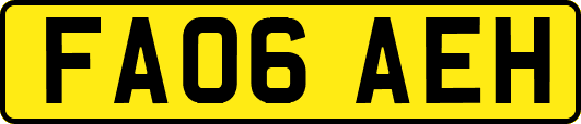 FA06AEH