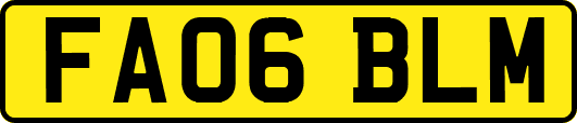 FA06BLM
