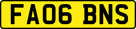 FA06BNS