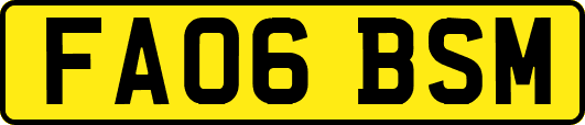FA06BSM
