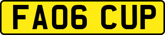 FA06CUP