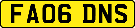 FA06DNS