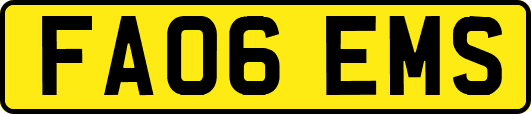 FA06EMS