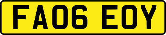 FA06EOY