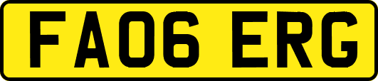 FA06ERG