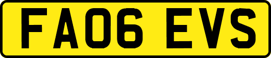 FA06EVS
