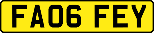 FA06FEY