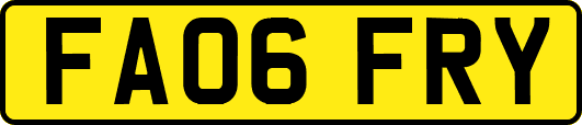 FA06FRY