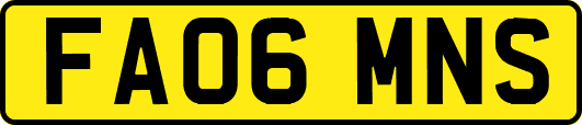 FA06MNS