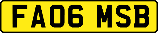 FA06MSB