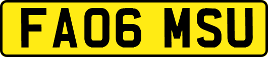 FA06MSU