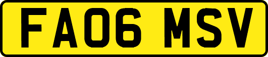 FA06MSV