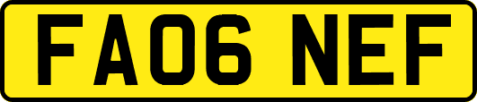 FA06NEF