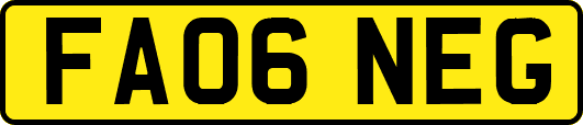 FA06NEG