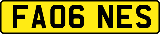 FA06NES