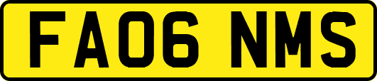 FA06NMS