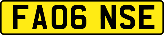 FA06NSE