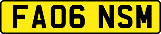 FA06NSM