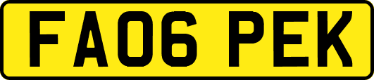 FA06PEK