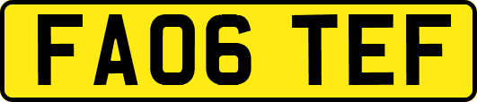 FA06TEF