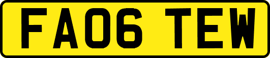 FA06TEW