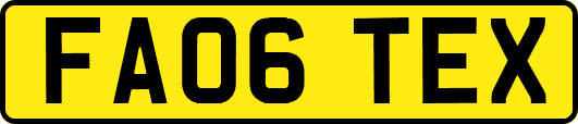 FA06TEX