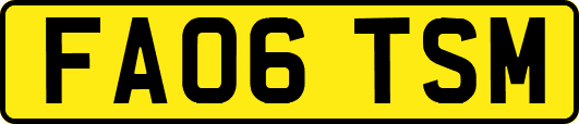 FA06TSM